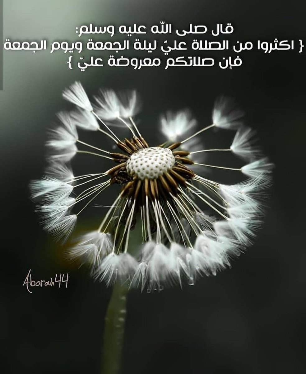 AMoafaq's tweet photo. https://t.co/gmFpxBWxuK