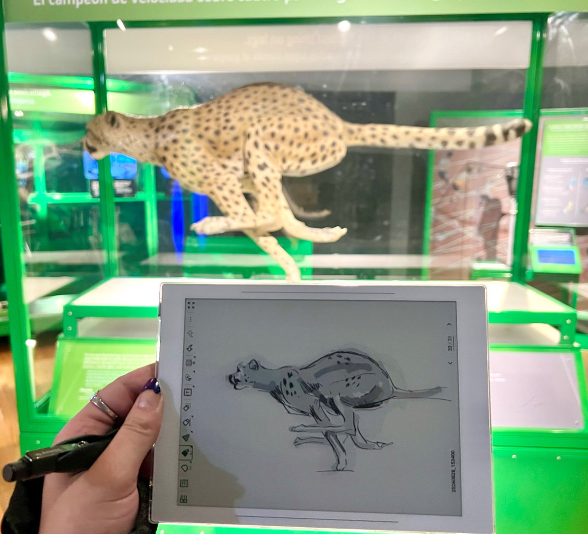 CorrodedParadox's tweet photo. Field museum stuff #supernote https://t.co/tvBRbkLmbO