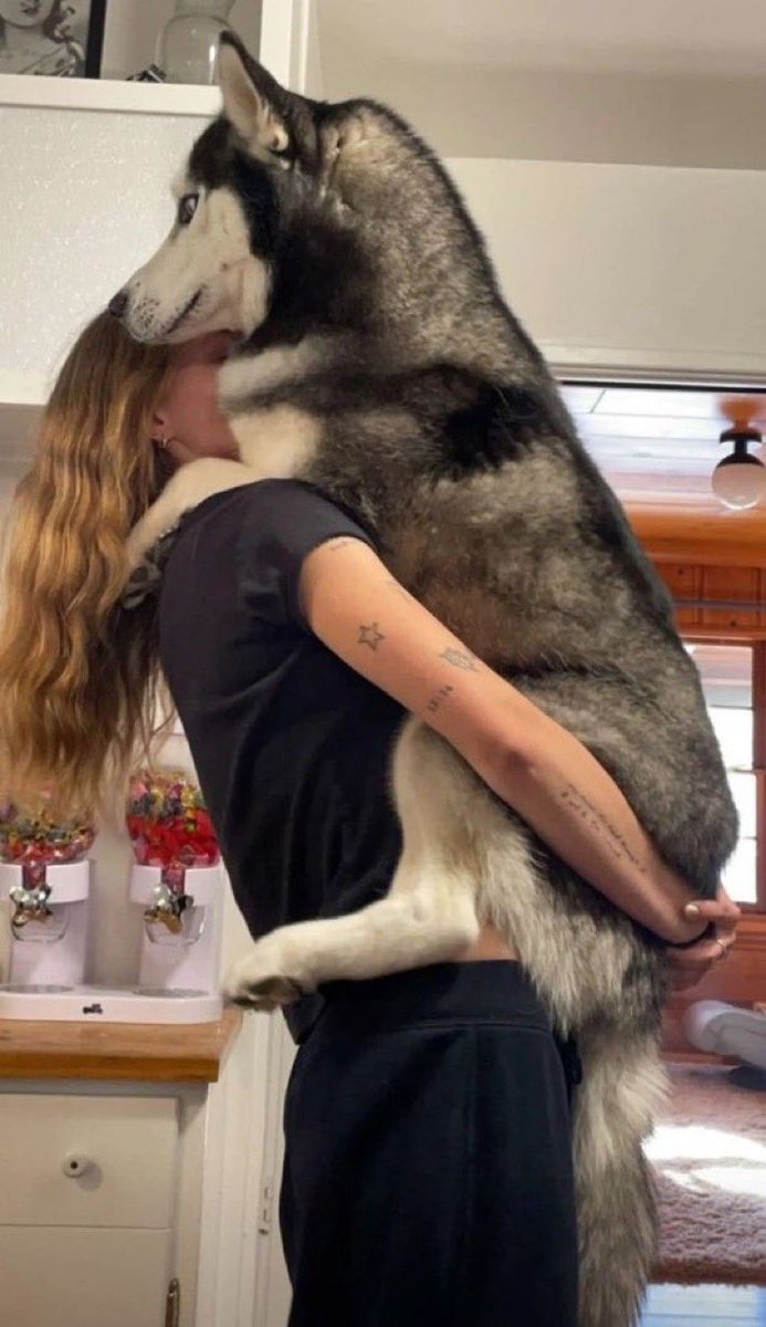 drewpuxj's tweet photo. Dog happened to me and we made our dark room unforgettable magic✨❤️💯
Tapp Inn🤤👇

https://t.co/g1dhBdAwlQ…

#DOGS #USA #nsfwtwtًً https://t.co/1oaCQNoWHg