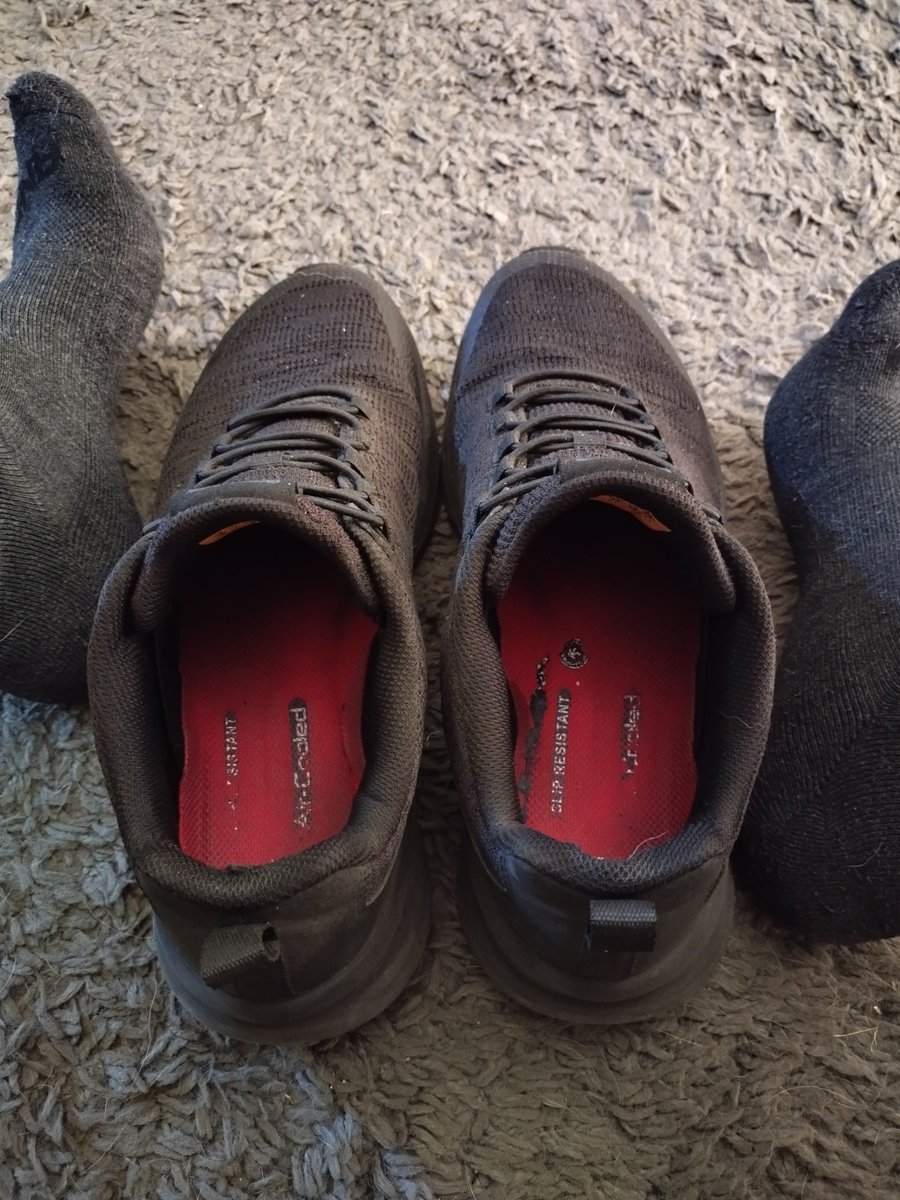 footdaddystl's tweet photo. My shoes are getting so bad that I may need to put them outside to air out or I could tie them over a foot freaks face and have them breathe my foot fumes all night until I'm ready to put them back on the next morning 

#Footsub #feetworshi̇p #ShoeAddict #shoestink #footfreak https://t.co/U4QovGvPA4