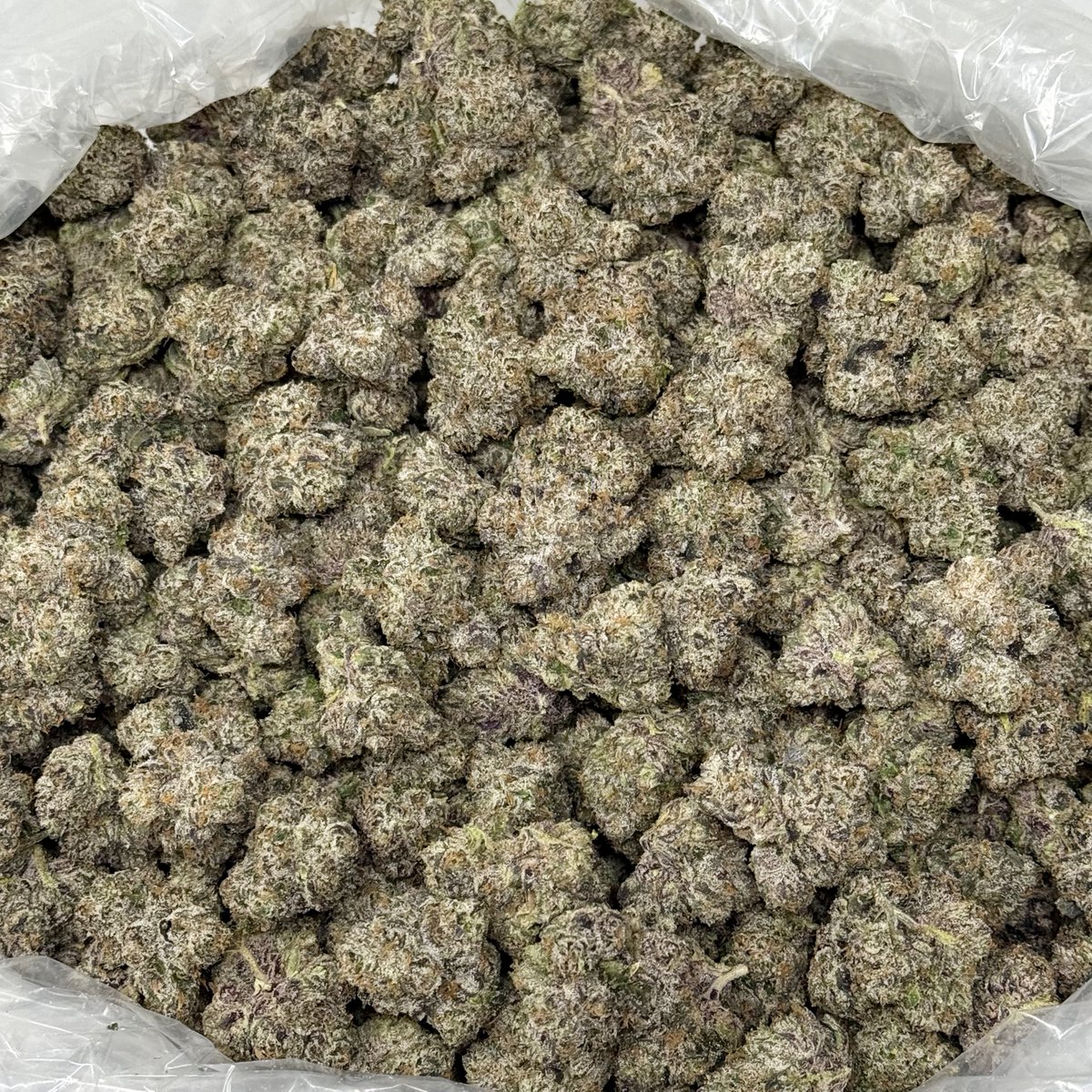 caliplug_distro's tweet photo. STRAIN: Black Nerdz 🌿
TYPE: BIGZ 📦
PRICE: $1000💰

👀 Bag Appeal: 8/10
📏 Nug Size: 9/10
🧱Structure: 7/10
👃Nose: 10/10
💧Freshness: 8/10
✂️Trim/Cleanliness: 8/10
🌀Breakdown: 8/10
👅 Taste/Smoothness: 9/10
🔥Burn/Ash: 10/10

TOTAL: 80/100 🏆

AVAILABLE
@Caliplug_distro📍 https://t.co/wlQVsScPVK