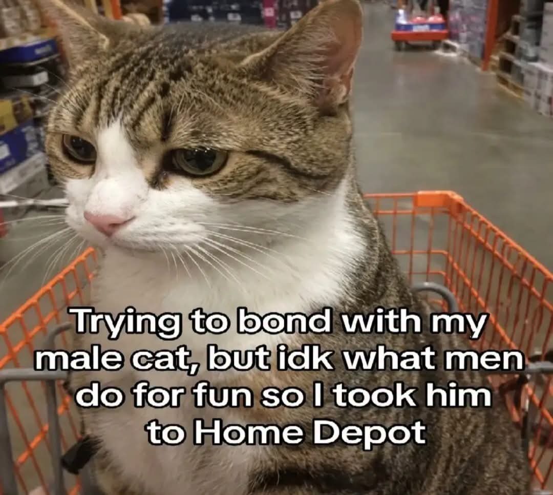 WholesomeMeme's tweet photo. https://t.co/uVbwCfpW6D