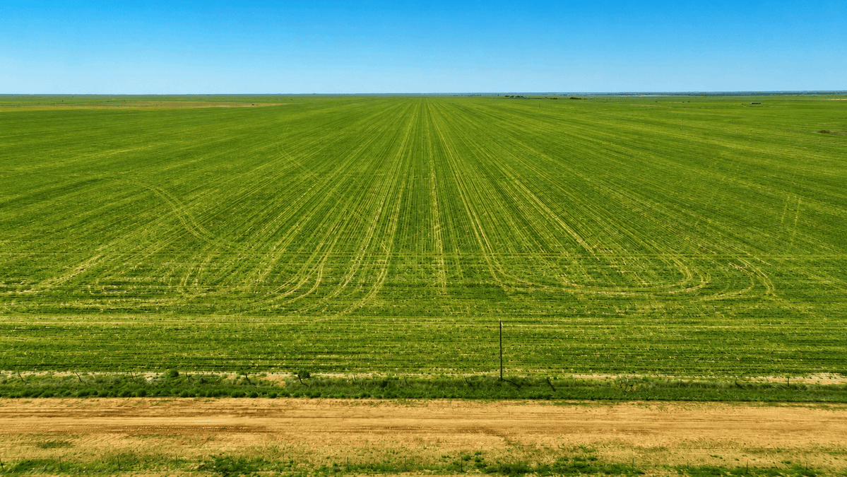 Victory_LandTX's tweet photo. 🪓 $69,900 for 10 Acres in Amarillo, TX – No Restrictions! 🪓

Easy Owner Financing
Payments as low as $1,229/month.

📲 Call/text 806-606-0824

🇺🇸 Victory Land Sales. Your Land. Your Legacy. Your Freedom. https://t.co/uFEGcZXfxQ