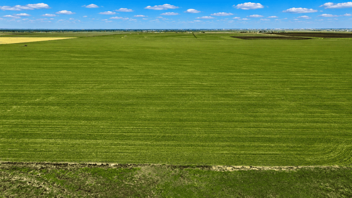 Victory_LandTX's tweet photo. 🪓 $69,900 for 10 Acres in Amarillo, TX – No Restrictions! 🪓

Easy Owner Financing
Payments as low as $1,229/month.

📲 Call/text 806-606-0824

🇺🇸 Victory Land Sales. Your Land. Your Legacy. Your Freedom. https://t.co/uFEGcZXfxQ