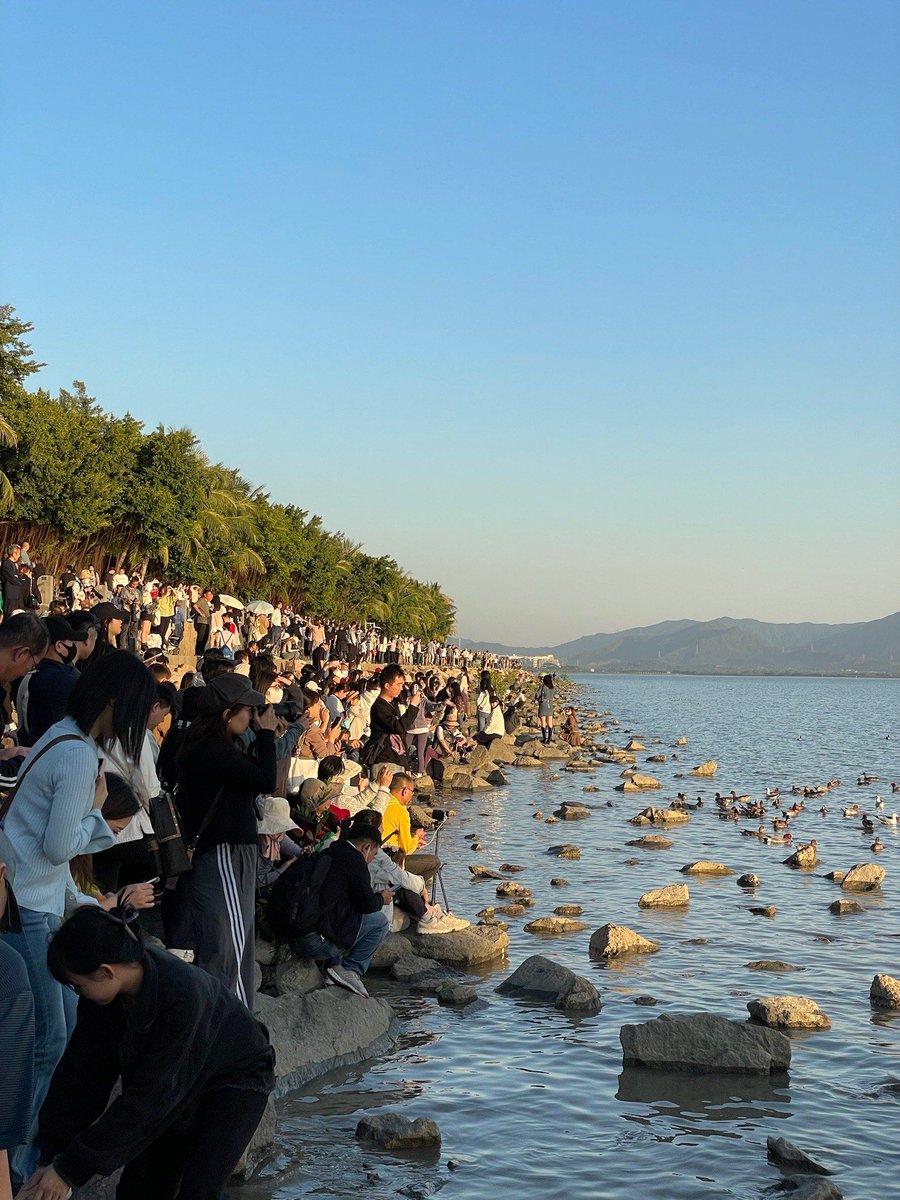 yxobrn709's tweet photo. By the river bank, the seagull soars above the rugged, busy pier, its cry echoing into the distant, profound night. https://t.co/z0RsXFC09x