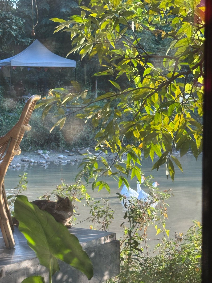 Rubby88577744's tweet photo. This tiny house has a concave (凹) wall, a big tooth-shaped sign, dry river (涸) stones, and a cozy nook, perfect for unwinding on a free day! https://t.co/HUqNmY567K