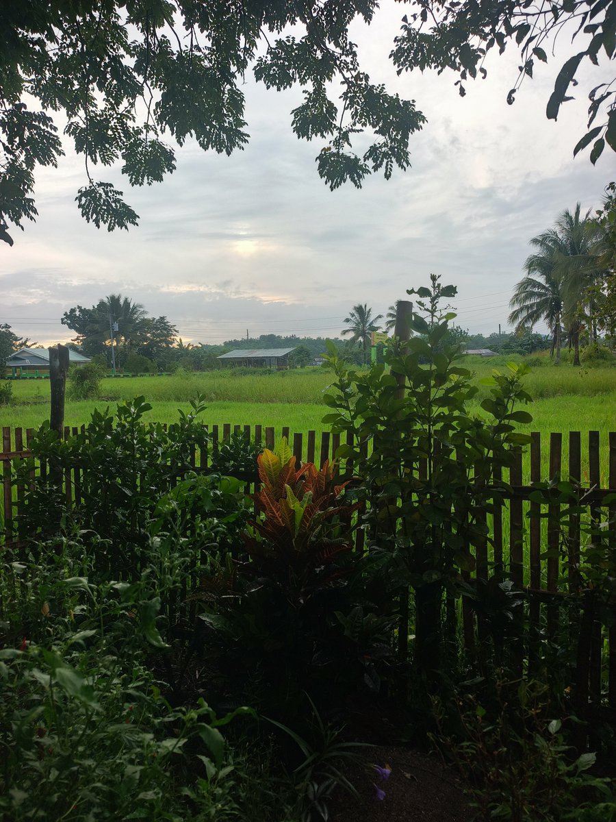 p4tricix's tweet photo. Bagong umaga https://t.co/T6OUYAEL7F