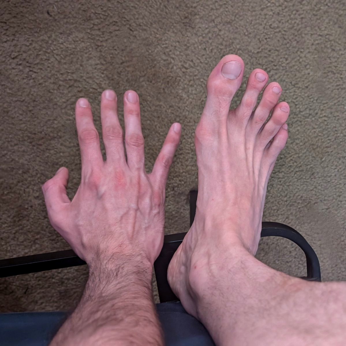 alphadexter39's tweet photo. Size 13s to hold up a whole lot of man. #gaybeard #gayhunk #gaymen #gayfeet #gaypits #alphatop #beard #hunk #gaytwitter #rough #gaycum #gaypublic https://t.co/eTZ05o1JJG