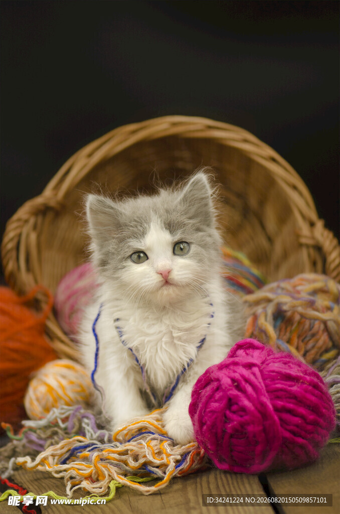 EvaWiswallyn's tweet photo. Hoy hice un llavero de fieltro con forma de gato, super fácil y perfecto para regalar https://t.co/qkfT8uLp52