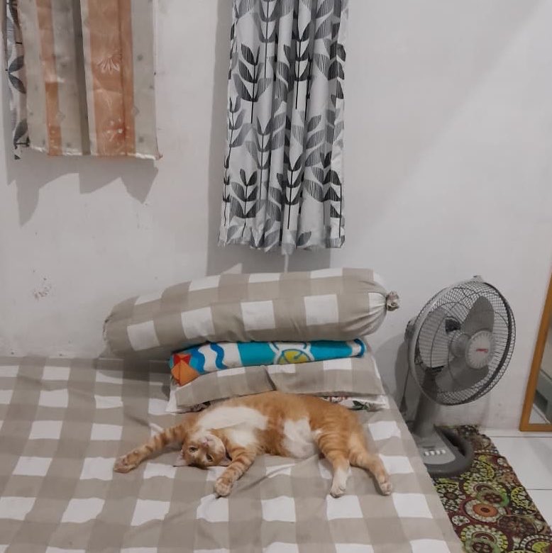 kimynonawa04's tweet photo. Aduhh mager nyaaa, enak sekali punya kamar dan kasur sendiri 😋😋 https://t.co/ZD5bvWI80T