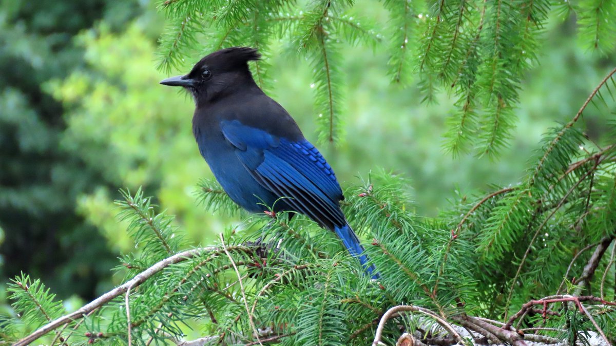 HelenH85406's tweet photo. #Thursjay https://t.co/ClUdoeDjQc