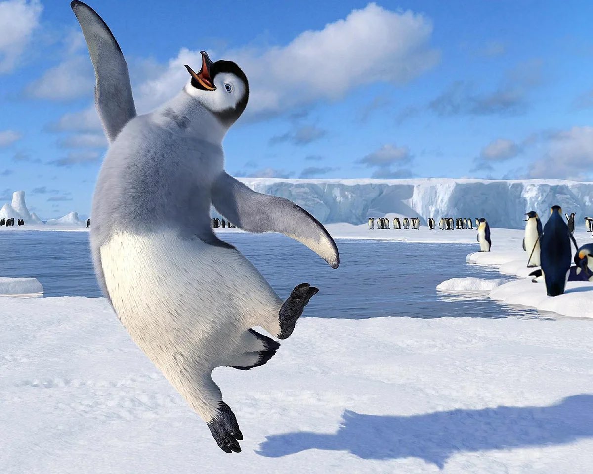 Peflorcafee's tweet photo. Happy feet https://t.co/KR5HRgvyUS