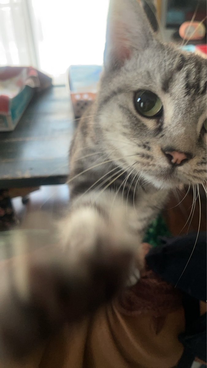 OoMahitoO's tweet photo. https://t.co/6ktDSXRGQN
