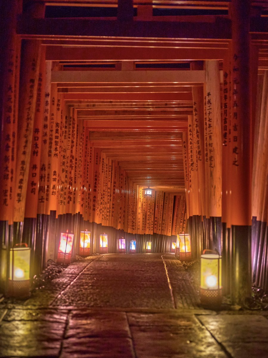 3m1ek's tweet photo. 異世界へと繋がるような参道 https://t.co/1ZFiHfKcBX