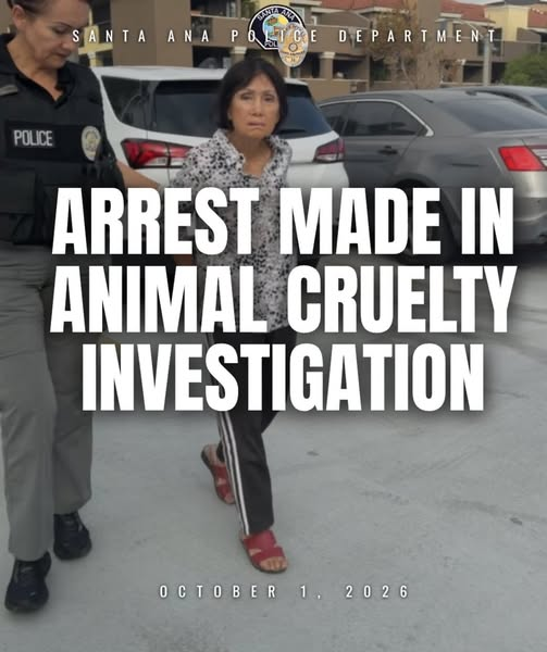 tiger26931's tweet photo. Death sentence is the only thing acceptable for this demon who ran over a puppy and let the car sit on top of the squealing puppy for 15 seconds. Death sentence. https://t.co/Xxyqu9o0Dw