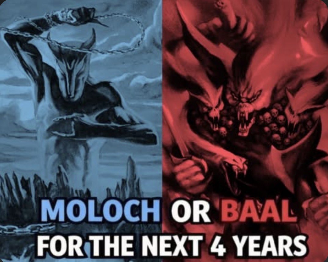 Shinich08413513's tweet photo. #teambaal https://t.co/gg1LhbwRHu