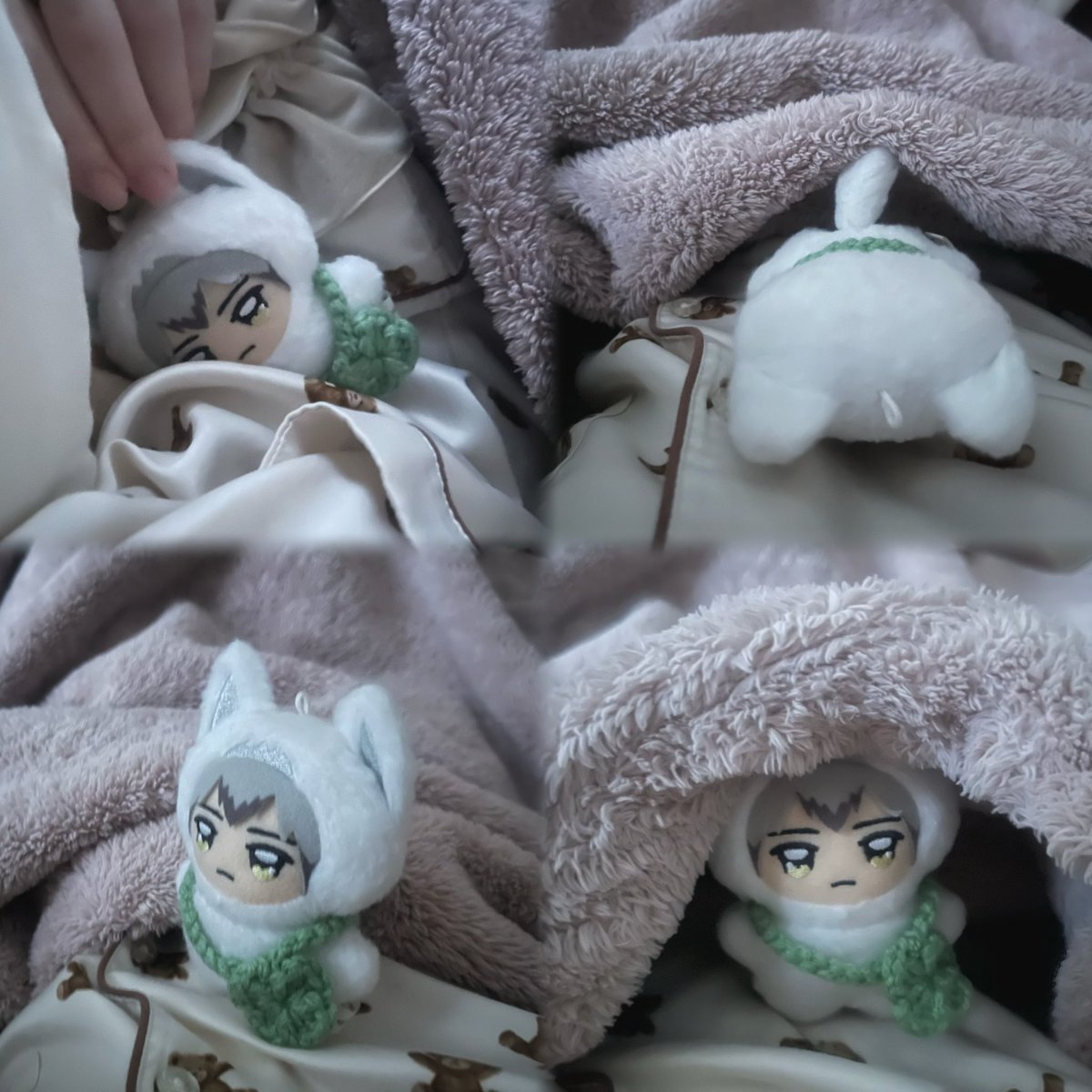 luckpi_ktsn's tweet photo. 載せるか迷ったんだけど、朝起きたらちみきたさんが甘えん坊モードになってて可愛すぎたので親バカさせてください૮ ◜ᵕ◝ ა（あまりに日常すぎるので一応ワンク） https://t.co/A21r5i4bbs