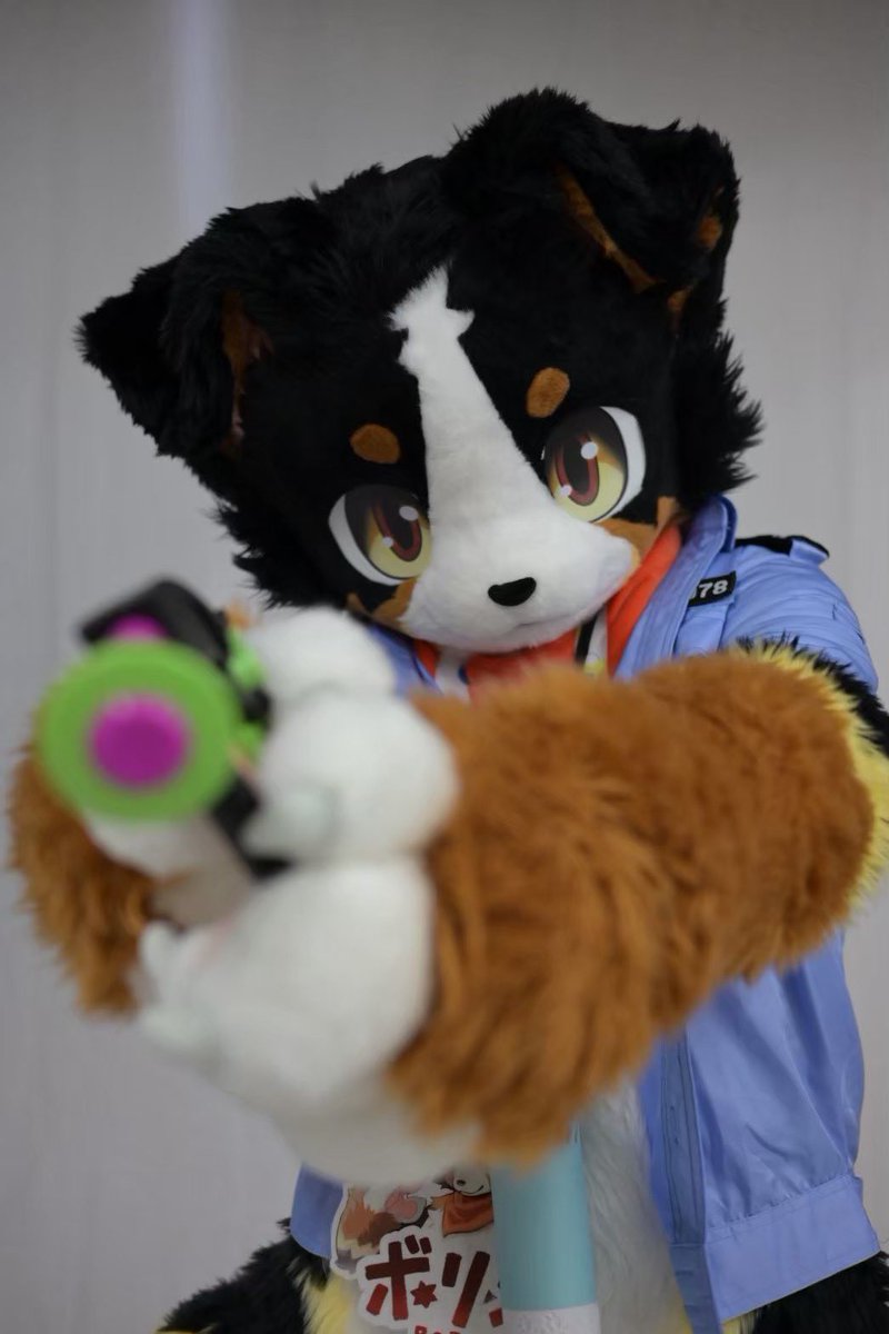 borio_sheriff's tweet photo. #ミニもふ23

📸:@furry_330 https://t.co/ZOs7cdOmrH