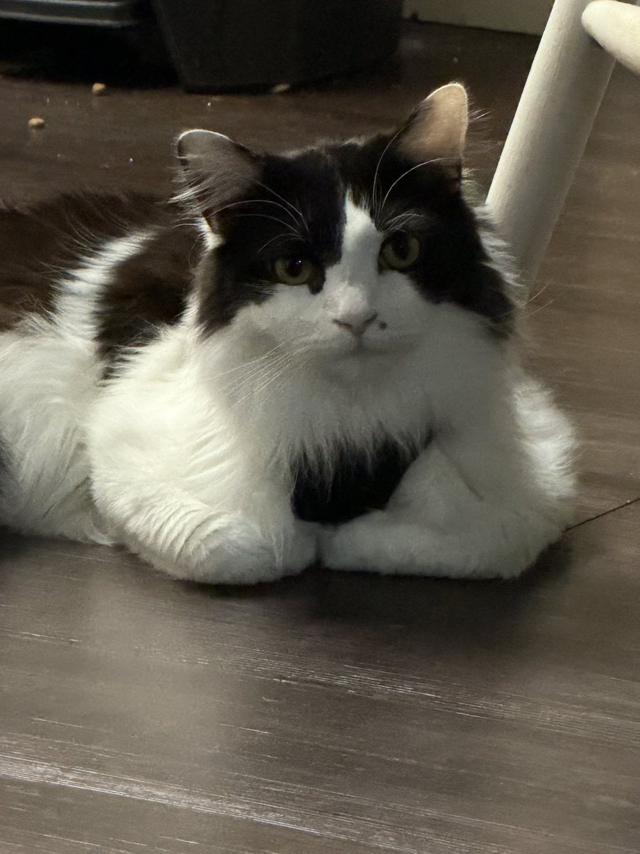 pepperbug's tweet photo. why does he look buff as fuck https://t.co/P72ZKeWwj3