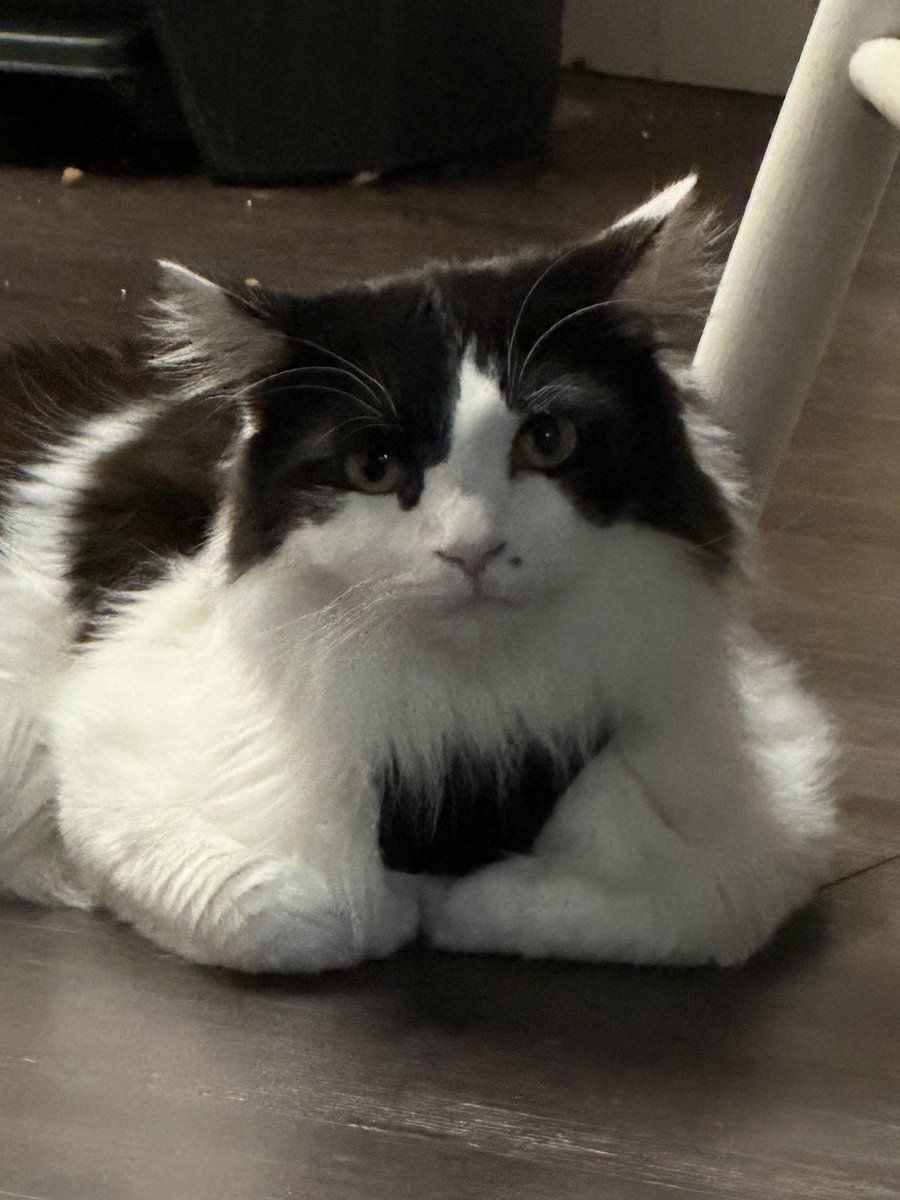 pepperbug's tweet photo. why does he look buff as fuck https://t.co/P72ZKeWwj3