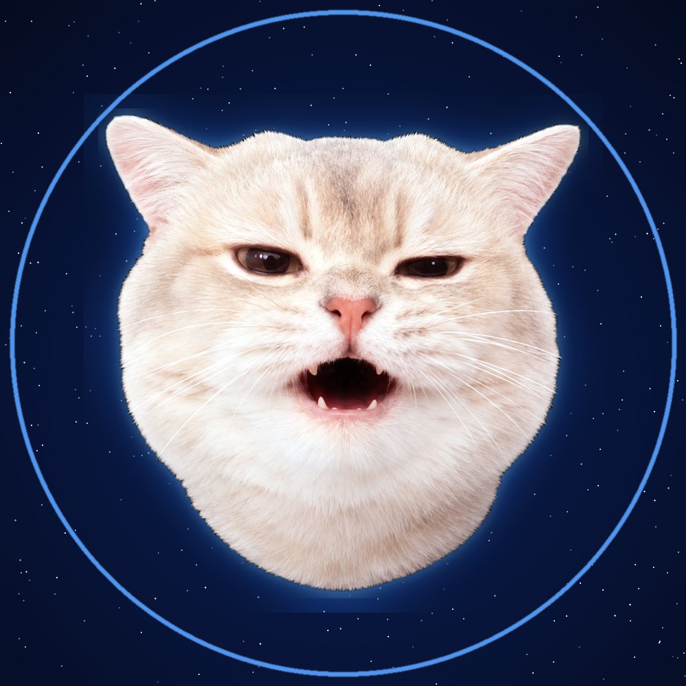 VraxERC's tweet photo. CTO Complete

Dex has been paid

Malicious actors from an enemy clan in Trappist-1 Star System have been defeated

Onwards to the stars

$VRAX https://t.co/eUUjLHDObC