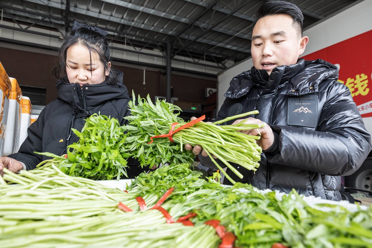 da_chan20's tweet photo. Today, I went to the market to buy some fresh vegetables, picked a bunch of 涟 (coriander) and asked the vendor for 确 (confirm) if they were clean—what a satisfying little daily moment! https://t.co/WDUIjYwBIq