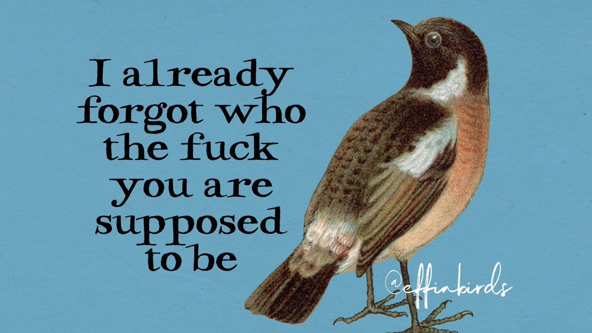 EffinBirds's tweet photo. https://t.co/POZRPZnZ5F