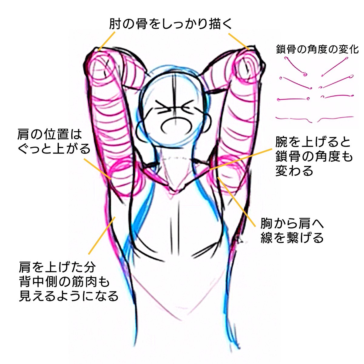 palmie_oekaki's tweet photo. 肩を挙げたポーズの描き方✍️ https://t.co/XSvSwdPow8