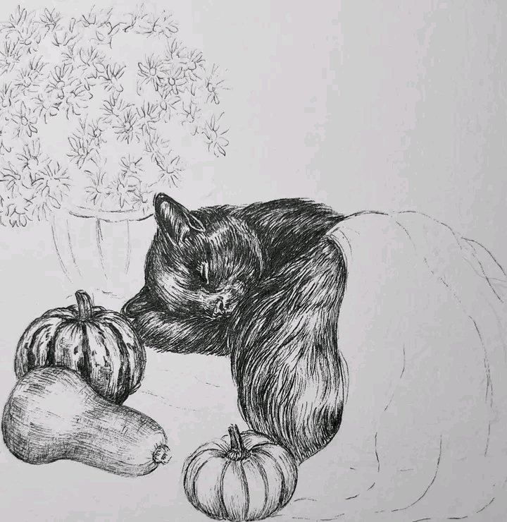 AnnaBanana62801's tweet photo. I just finished up one of my last commissions of 2026..so it was time to draw something for myself!
If you’ve been following along for a while now, you know that drawing  is my absolute favourite thing. https://t.co/hJ8tlQv597