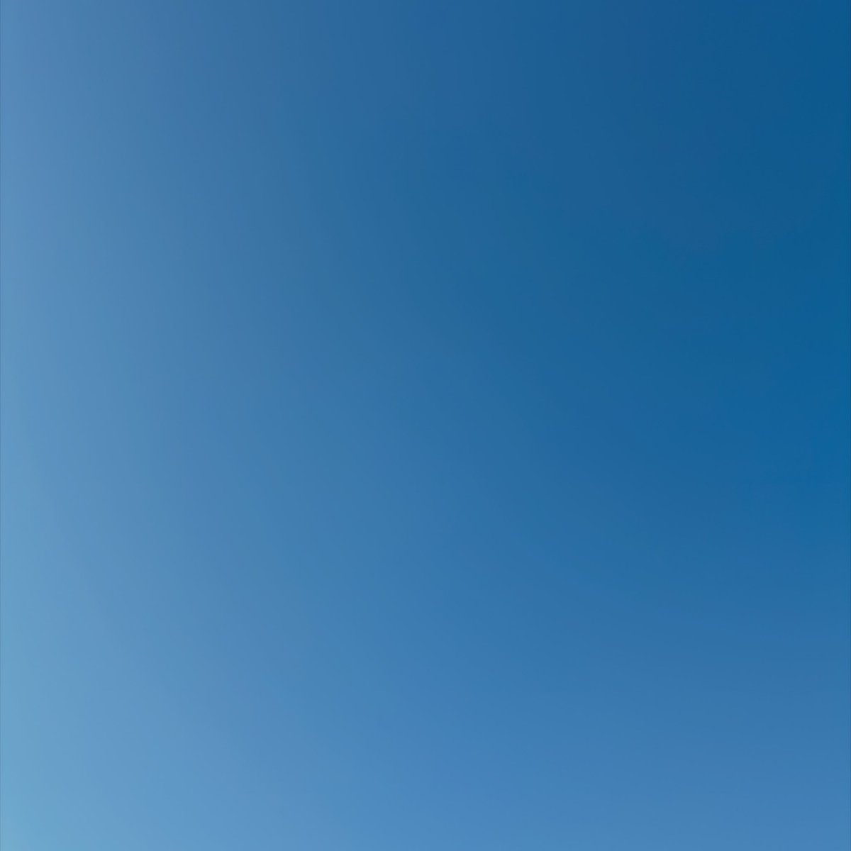 Ranunculus_2222's tweet photo. おはようございます
雲1つない空！

いよいよ最終日
お世話になった感謝の気持ちを込めて
１日頑張りたいと思います https://t.co/HqYkRVmCBH