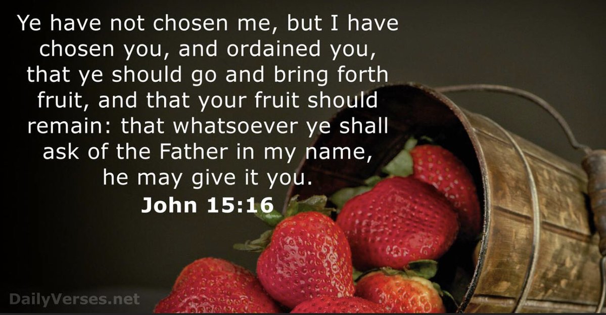 One_Of_His's tweet photo. John 15:20 KJV
“Remember the word that I said unto you, The servant is not greater than his lord. If they have persecuted me, they will also persecute you; if they have kept my saying, they will keep yours also.”
#ThingsJesusSaid https://t.co/ffDX9xauwD