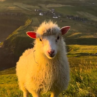 hergelesel's tweet photo. #NewProfilePic https://t.co/ywfyPWn5Wv