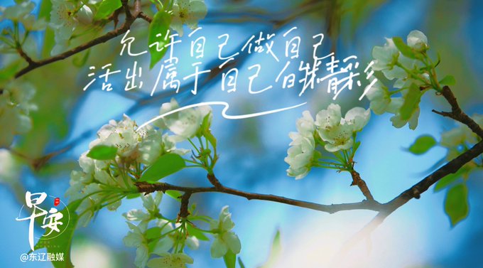 White blossoms on tree branches are set against a bright blue sky with overlaid Chinese calligraphy and the text "早安" (Good Morning) in the bottom left corner.