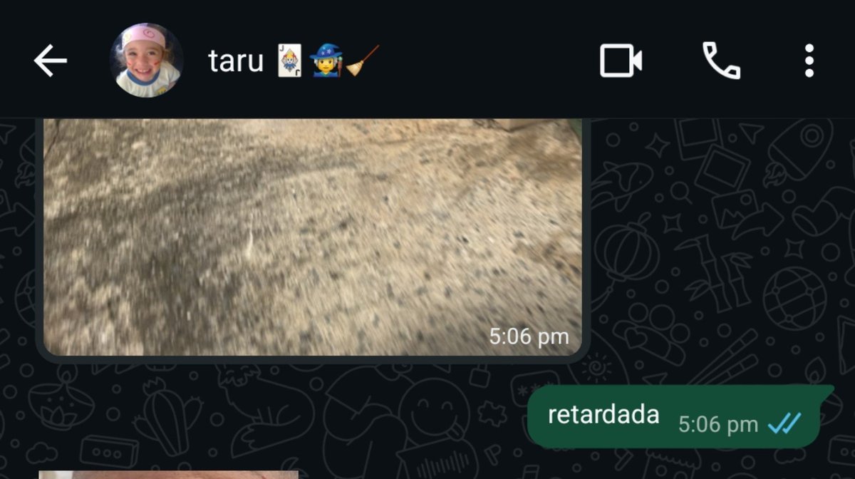 sapiscu's tweet photo. estou a um total de dois dias recebendo foto da rua de casa no pv, devo me preocupar ?? https://t.co/MAGHcSHh6m
