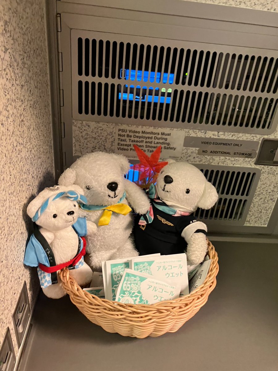 airdo_hokkaido's tweet photo. おはどぅございます！
この前乗った飛行機は、ベア・ドゥがいっぱいいて可愛いかったです • ᴥ • ﾜﾁｬﾜﾁｬ https://t.co/5YKlhFChqN
