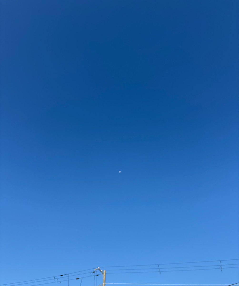 elimi_kyp's tweet photo. 今朝の姫路も雲ひとつないひんやり秋晴れ☀️
今は半袖でも過ごせています👍
前乗りの皆さん、お気をつけてお越しください✨✨ https://t.co/u0CVYSY34s