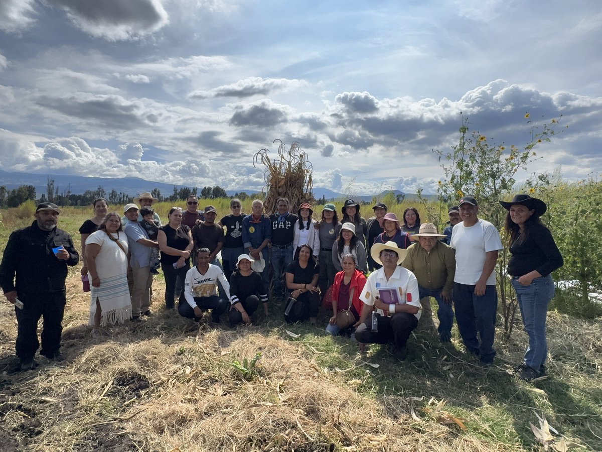 Elijahector's tweet photo. El día de hoy, se llevó a cabo una enriquecedora plática en el centro de producción de bioinsumos “Dos Cincuates”

El encuentro contó con la participación del Ingeniero agrónomo 👴Sebastiao Pinheiro.

🧑🏻‍🌾🥕🥬🌽🥔🍅🫜 https://t.co/ugJ9gyNc7l