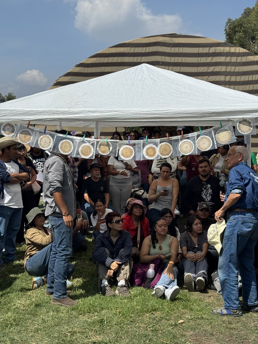 Elijahector's tweet photo. El día de hoy, se llevó a cabo una enriquecedora plática en el centro de producción de bioinsumos “Dos Cincuates”

El encuentro contó con la participación del Ingeniero agrónomo 👴Sebastiao Pinheiro.

🧑🏻‍🌾🥕🥬🌽🥔🍅🫜 https://t.co/ugJ9gyNc7l