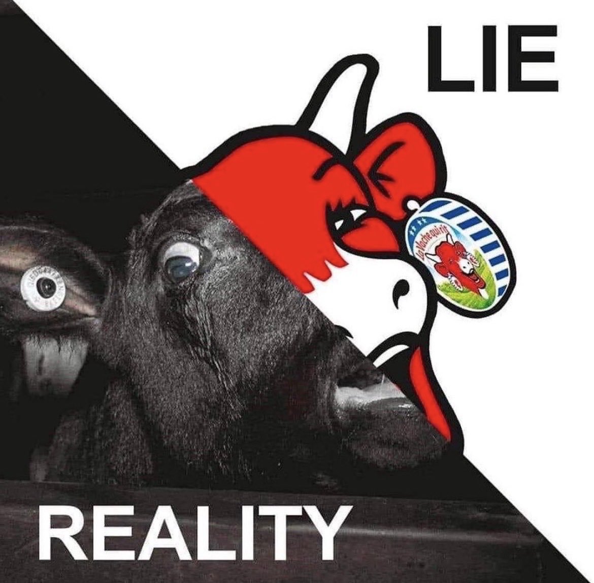 WhyNotVeganism's tweet photo. https://t.co/cPlWU1TvRe