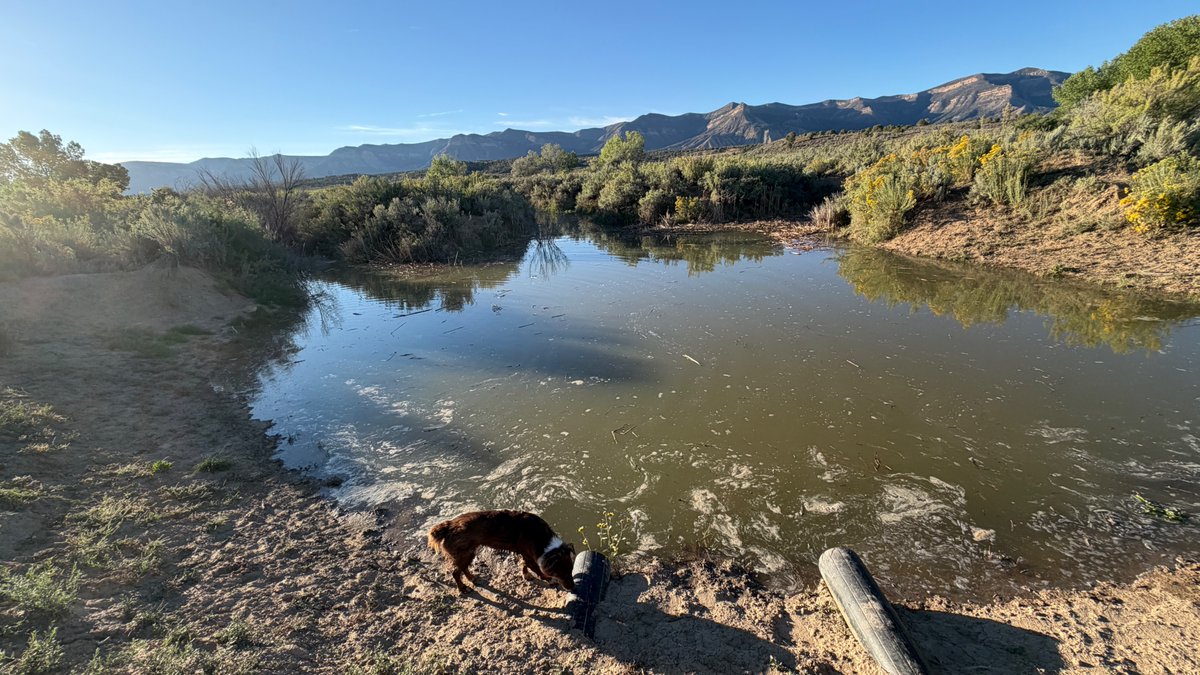 The5oClockNews's tweet photo. @ColoradoBetsi Gotta love Colorado. https://t.co/uH5eSOUQhv
