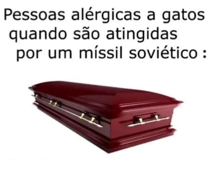 takfaveais's tweet photo. vc ja se sentiu meio pessoas alérgicas a gato quando são atingidas por um míssil soviético https://t.co/GHyQjVQ6yT
