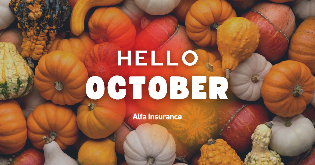 kathysims's tweet photo. Happy October! 🍁🍂🍁 What are you looking forward to the most about this new month? https://t.co/TCqxXlcSTY