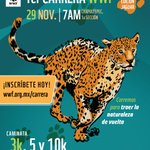 Photo by WWF México (@WWF_Mexico)