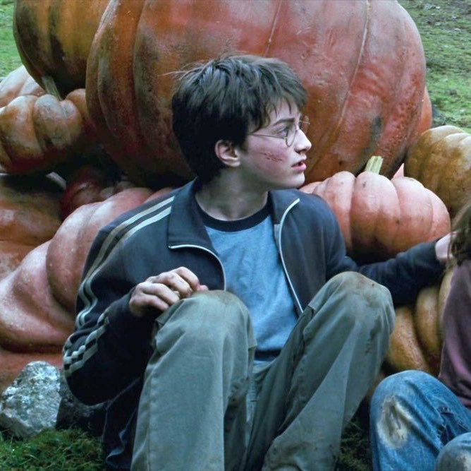 HJP4LYFE's tweet photo. ITS OCTOBER!! THAT MEANS PUMPKIN HARRY! 🎃 https://t.co/RRwiIJlsht