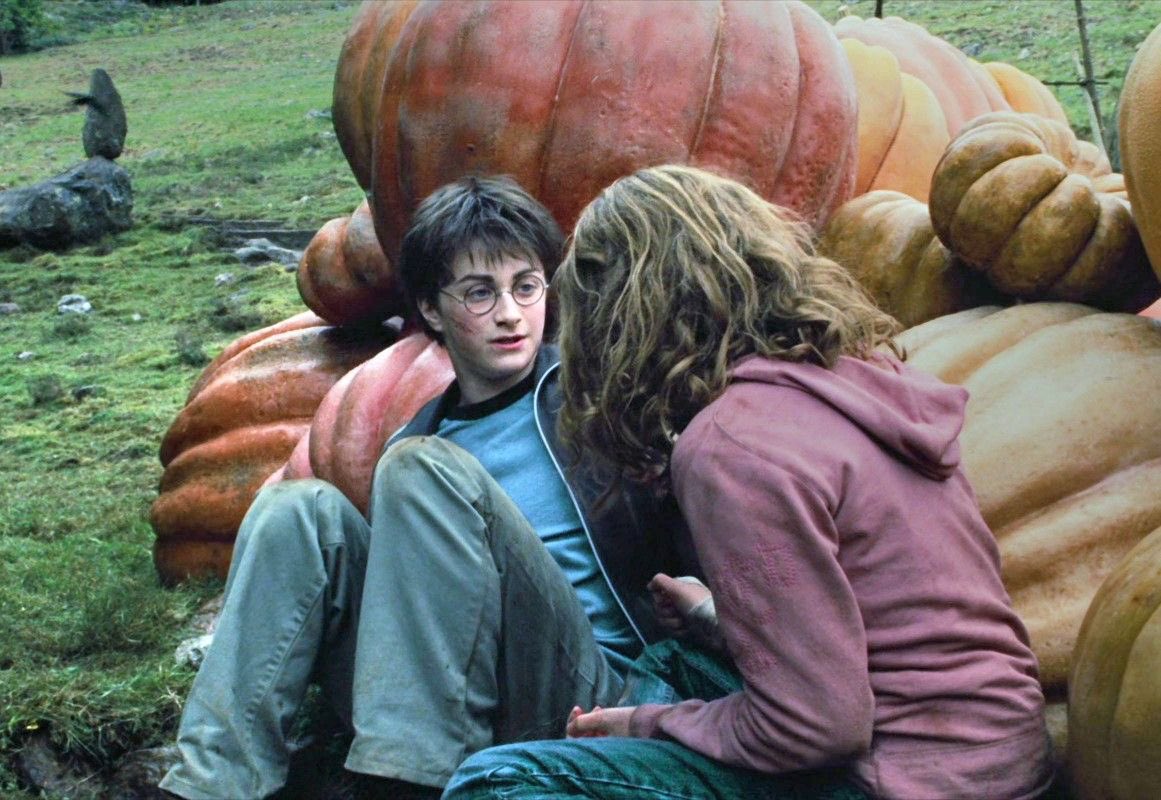 HJP4LYFE's tweet photo. ITS OCTOBER!! THAT MEANS PUMPKIN HARRY! 🎃 https://t.co/RRwiIJlsht