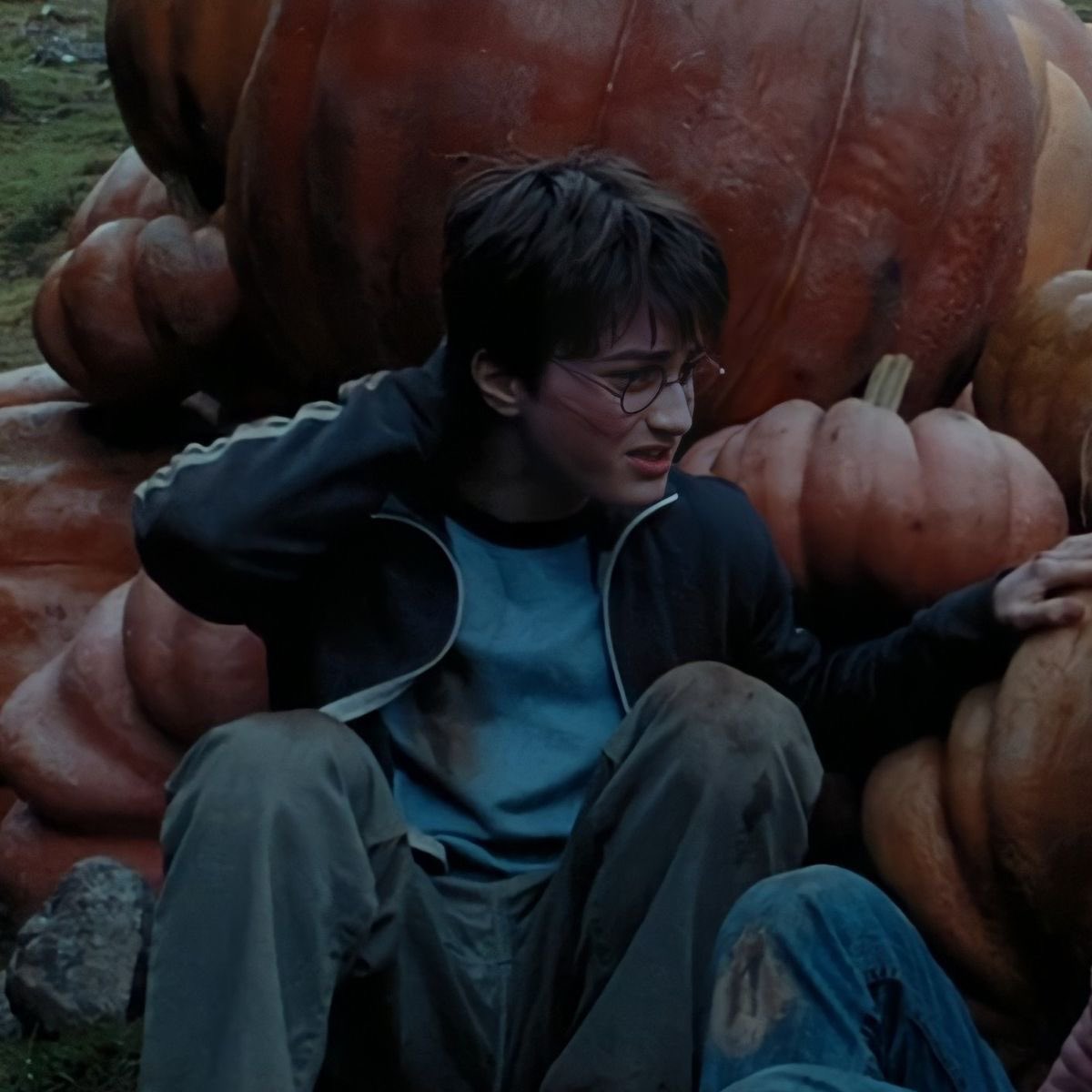 HJP4LYFE's tweet photo. ITS OCTOBER!! THAT MEANS PUMPKIN HARRY! 🎃 https://t.co/RRwiIJlsht