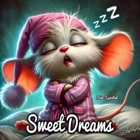 Deezer1951's tweet photo. Wrapping up another day that we were so fortunate to have. So let’s give ourselves a pat on the back if we gave today our best shot. So wishing you the best of nighttime wishes and lots of sweet dreams. 🥱💤😴 https://t.co/8bq6qTCbTz
