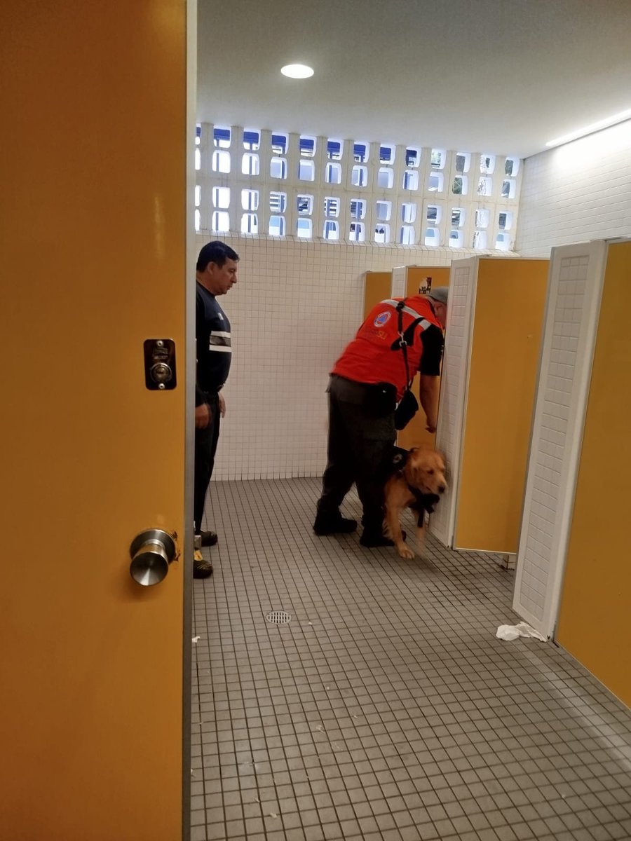 infoguzman's tweet photo. #CDMX #Binomios caninos ingresaron a la #Prepa6 de la @UNAM_MX como parte del protocolo de revisión, luego de una amenaza de tiroteo en los baños del plantel.
Tras la revisión, no se localizó ningún arma ni otro objeto relacionado con la amenaza. https://t.co/16s2h02UwM