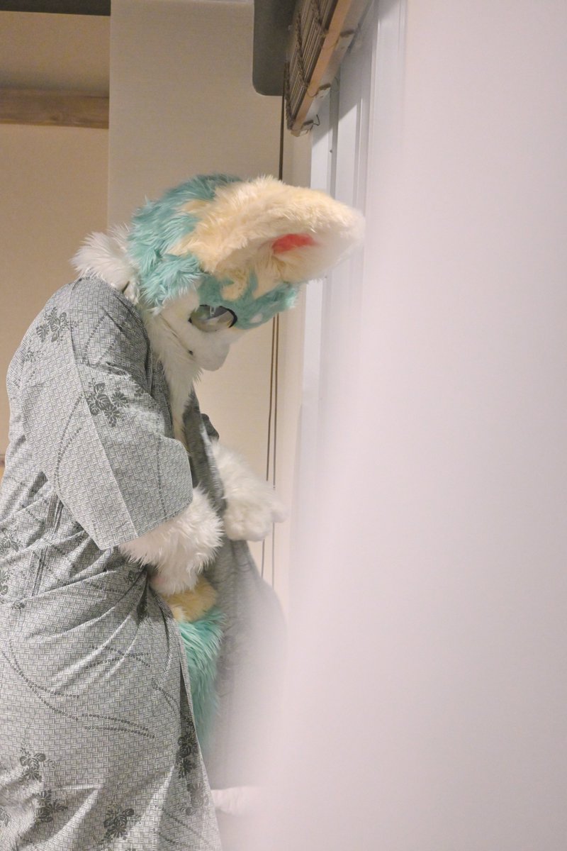 neos_moff's tweet photo. #FursuitFriday 
#FursuitsFriday 
温泉といったら浴衣だよね～
…
あれ？あれ？

📷@HosiNado https://t.co/pHSSNVBhpU