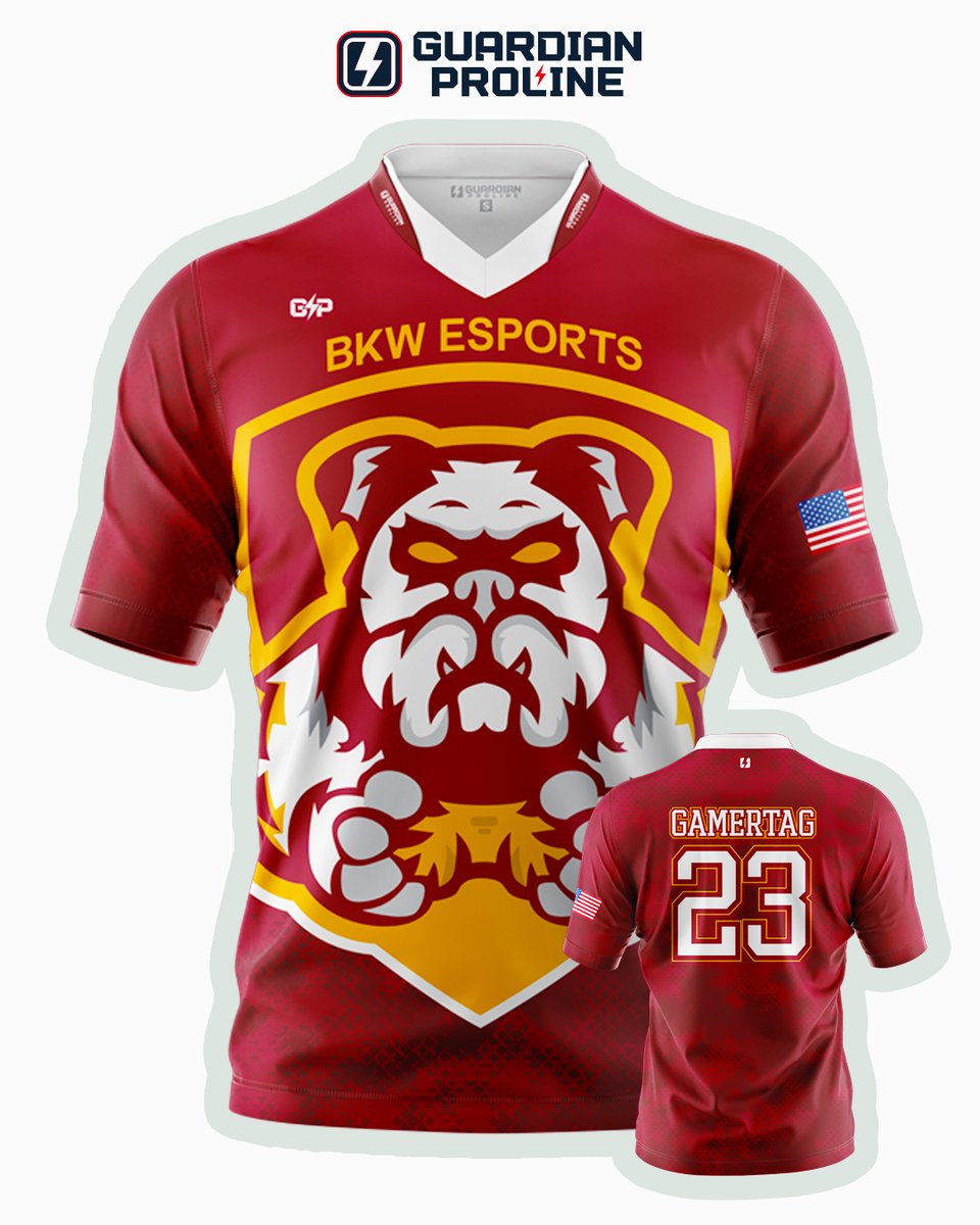 guardianproline's tweet photo. Berne-Knox-Westerlo HS Esports, New York got the update for 2027. 🔥 https://t.co/J6y2qCo3aa
